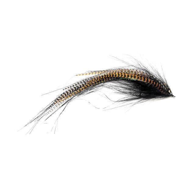 Črni Tigar Muha, Ni Obtežen